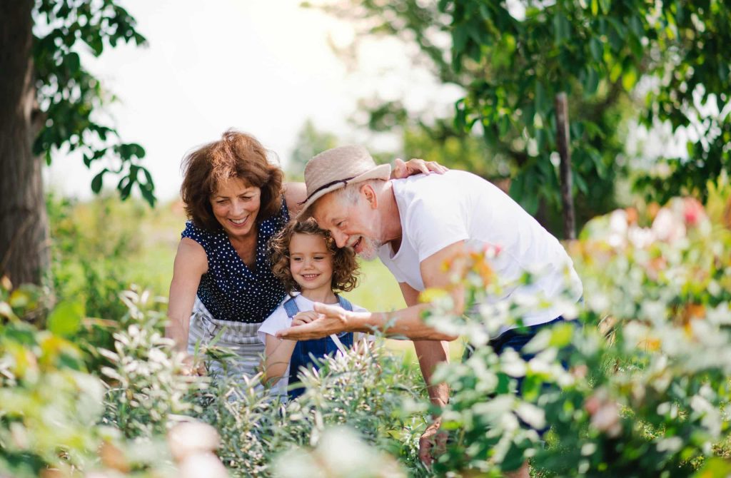 Grandparents and young child gardening together outdoors in a garden, representing family planning, care and future decision-making