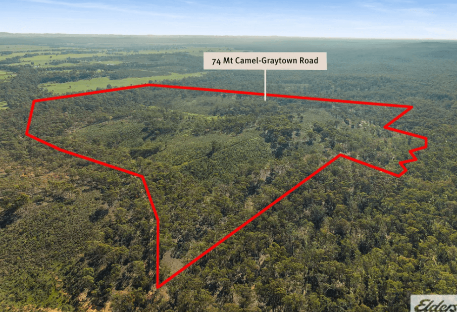 74 Mt Camel-Graytown Road, Graytown, Vic 3608